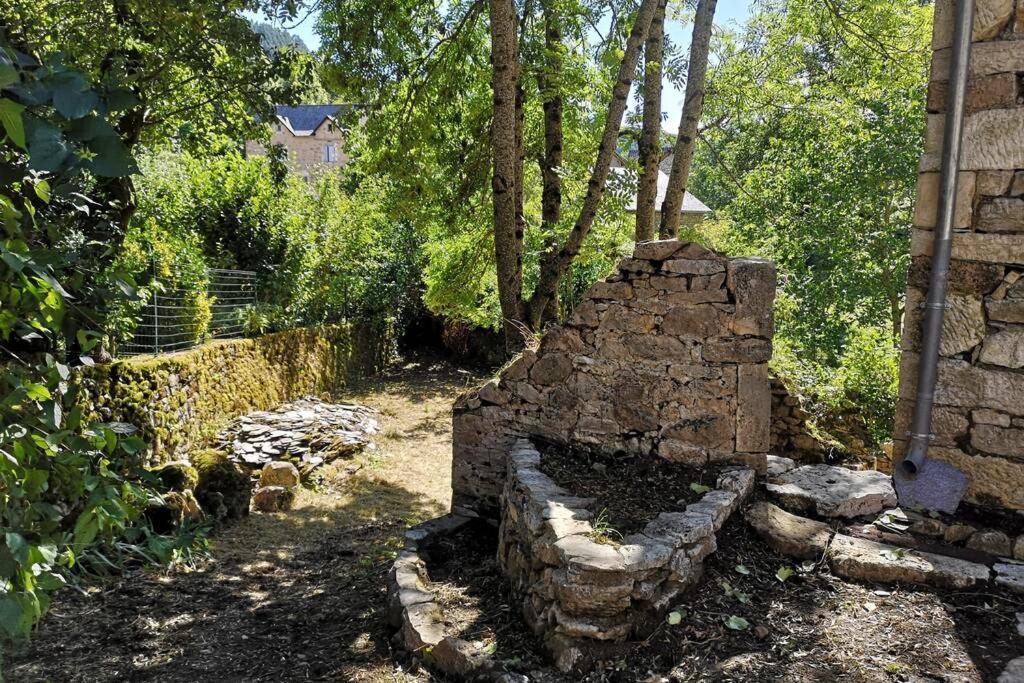 Maison Traditionnelle En Lozere Saint-Saturnin  Екстериор снимка